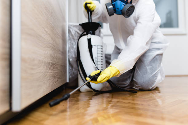 Best Ant Control Services  in Jackson, MI