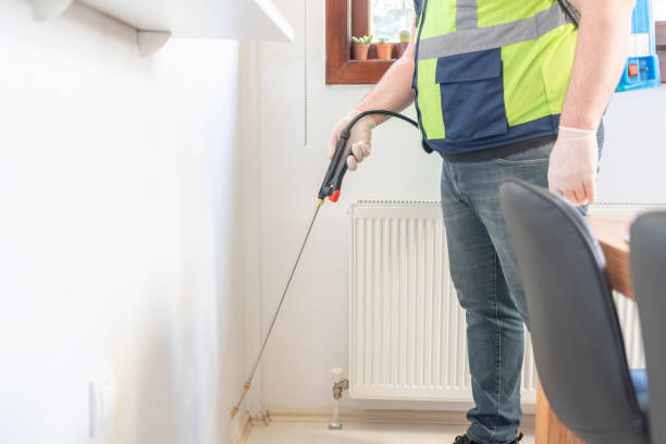 Wasp Removal Services in Jackson, MI