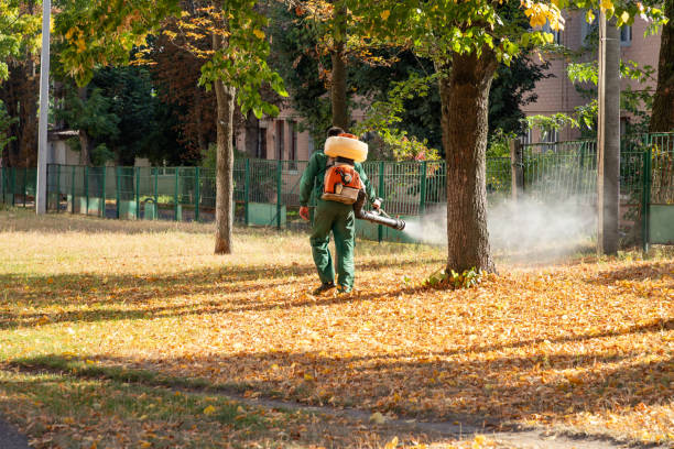 Best Pest Prevention Services  in Jackson, MI