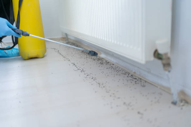 Best Best Pest Control Companies  in Jackson, MI